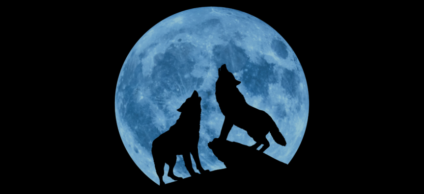 Creedence Clearwater Collective 2026